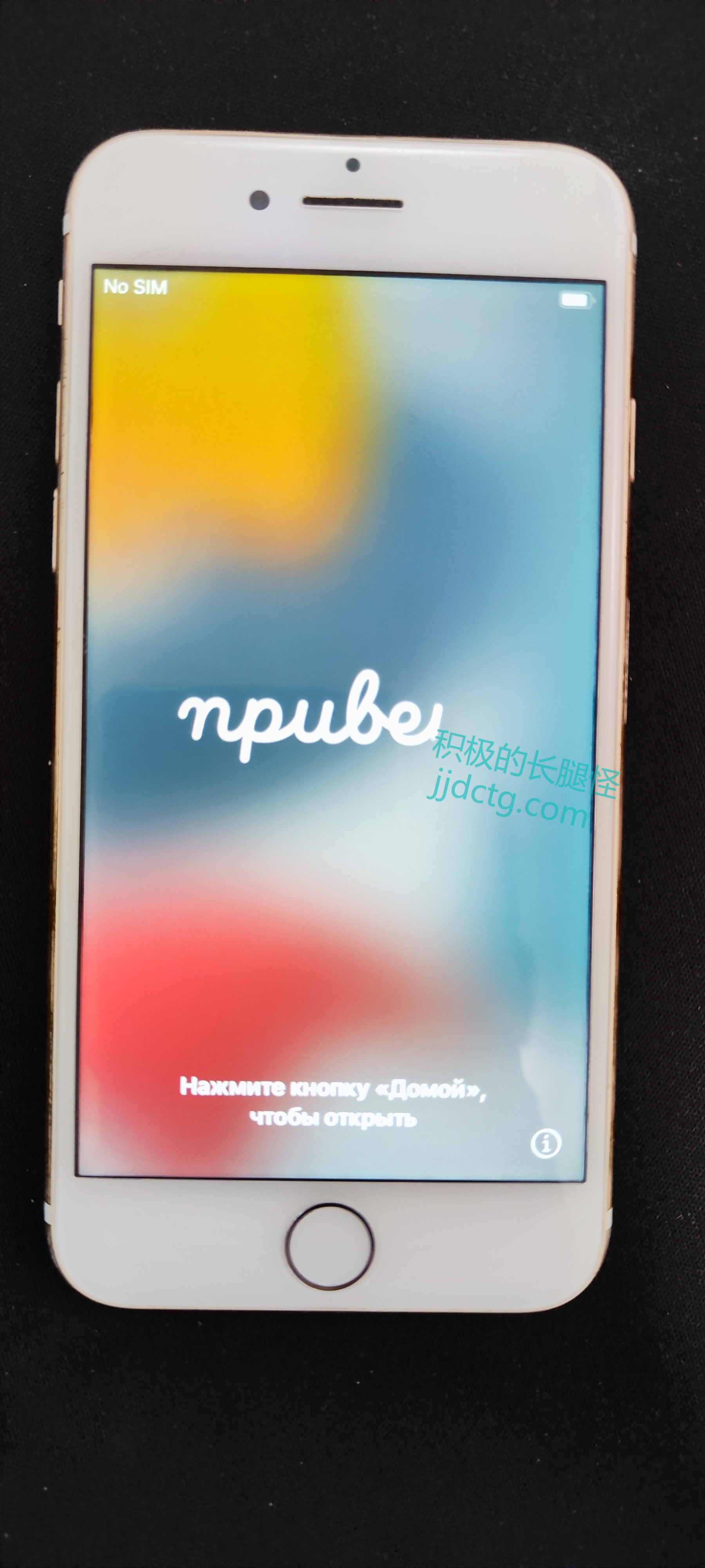notion image